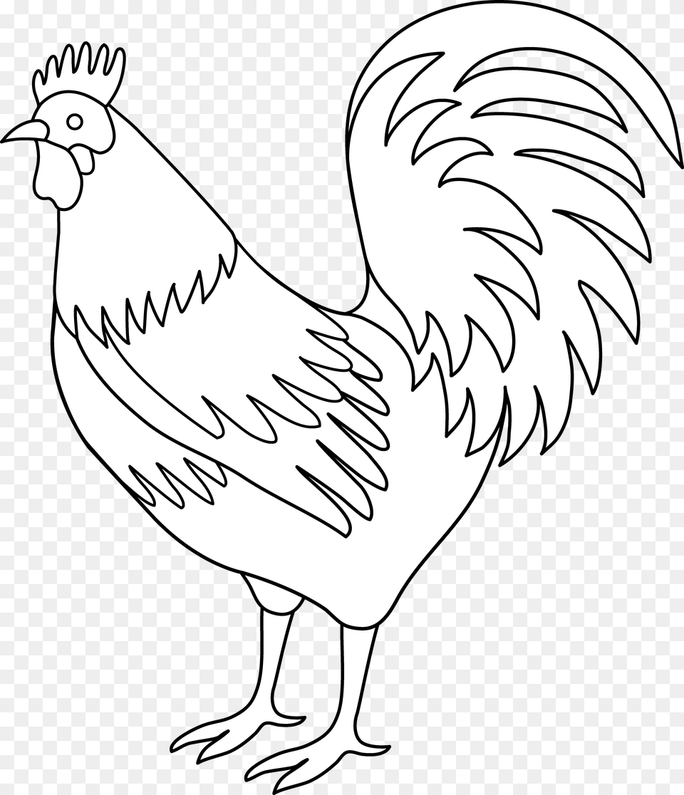 Chicken Clipart Tail Black And White Rooster Art, Animal, Bird, Fowl, Poultry Free Png
