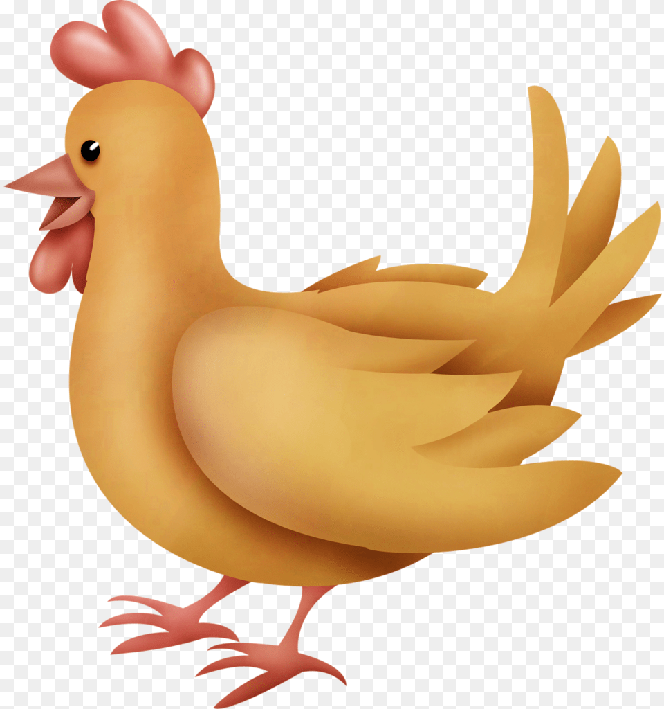 Chicken Clipart Transparent Background, Animal, Bird, Fowl, Hen Free Png Download