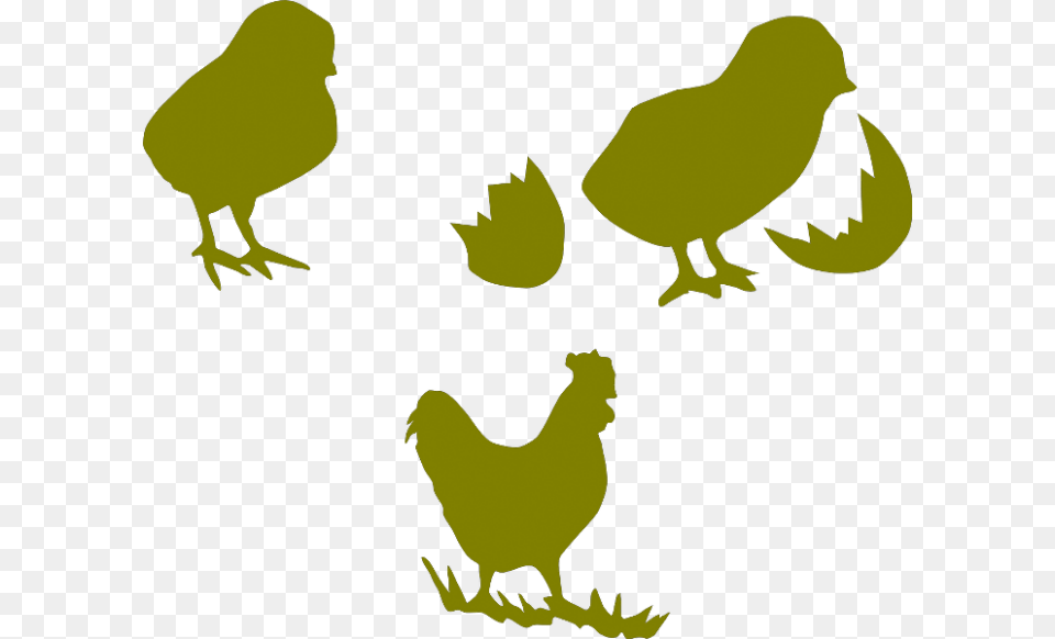Chicken Cock Poultry Hen Images Poultry Farm Chicks Logo, Animal, Bird, Fowl Free Transparent Png