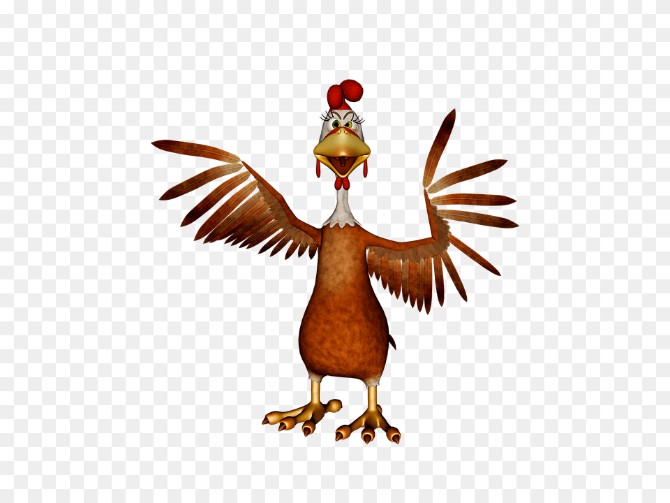 Chicken Diapers Oh They Exist Wjjk Fm, Animal, Beak, Bird Png Image