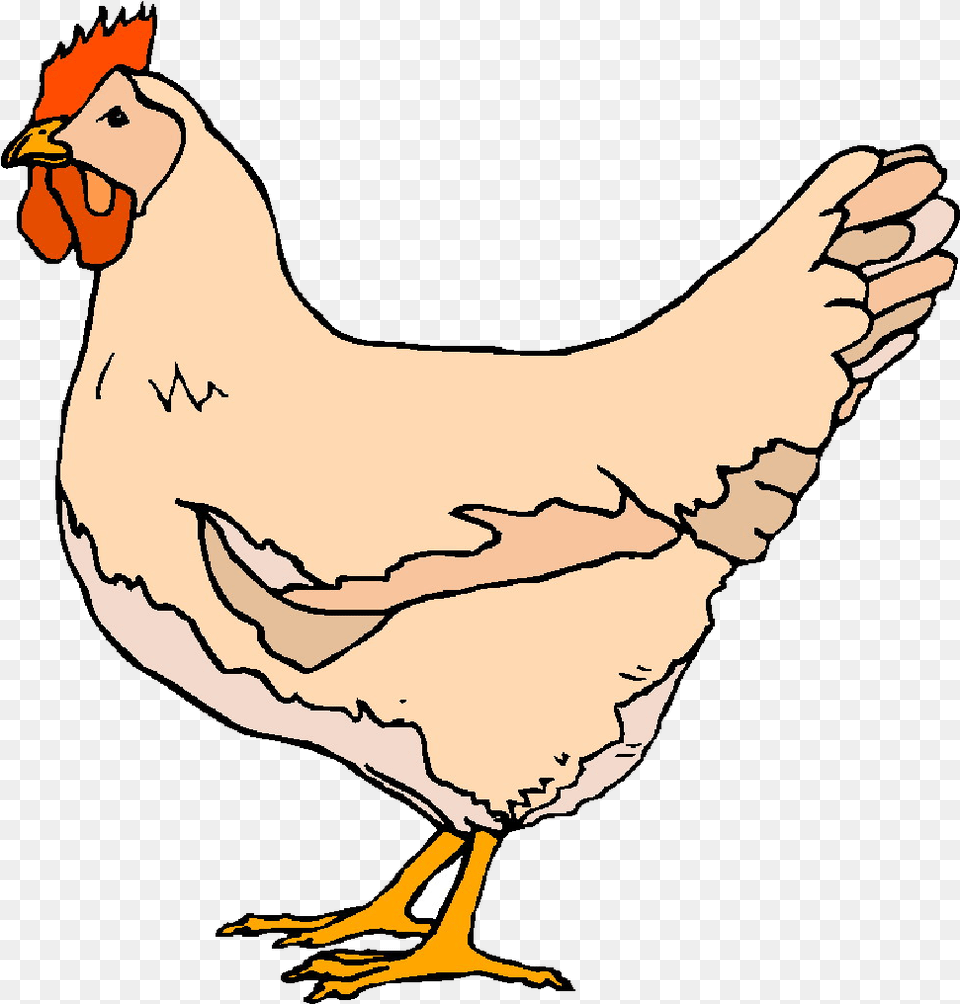 Chicken Dinner Clipart Library Images Transparent Clipart Chicken, Animal, Bird, Fowl, Hen Png