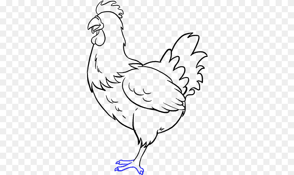 Chicken Drawing Beautiful Chicken Drawing Easy Png Image