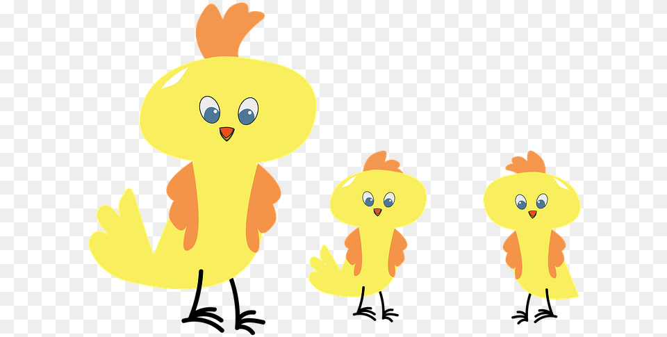 Chicken Easter Chicks Spring Small Chickens Cartoon, Baby, Person Free Png Download