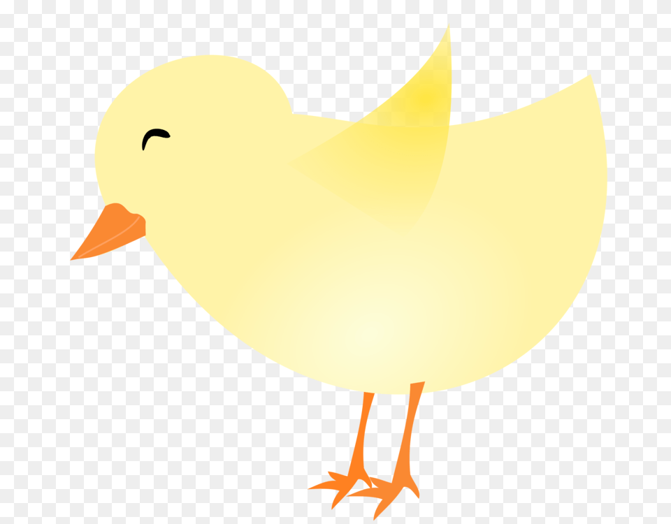 Chicken Easter Computer Icons Kifaranga Download, Person, Animal, Bird Png