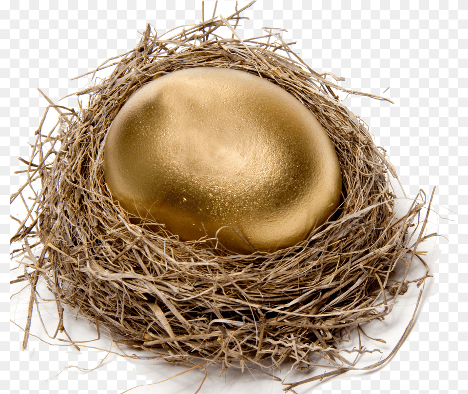 Chicken Easter Egg Nest Stock Photography Bird Nest Egg, Face, Head, Person Free Transparent Png