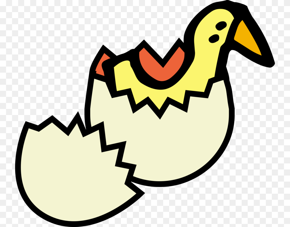 Chicken Egg Fried Egg Eggshell, Animal, Beak, Bird Free Transparent Png