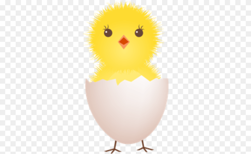 Chicken Egg Shell Icon Clip Art Baby Bird Egg, Animal, Fowl, Poultry, Food Free Png Download