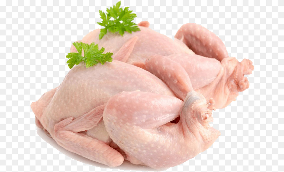 Chicken Fresh Quail, Herbs, Plant, Parsley, Baby Png Image