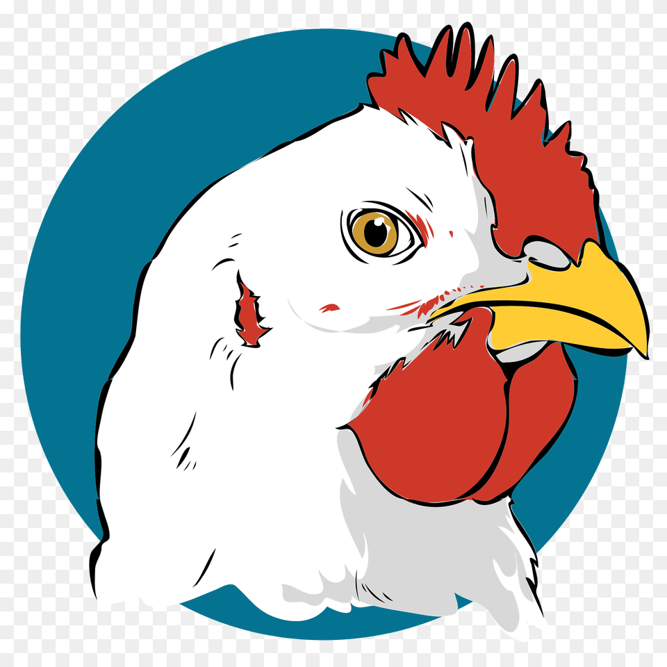 Chicken Head Clipart, Animal, Beak, Bird, Person Free Transparent Png