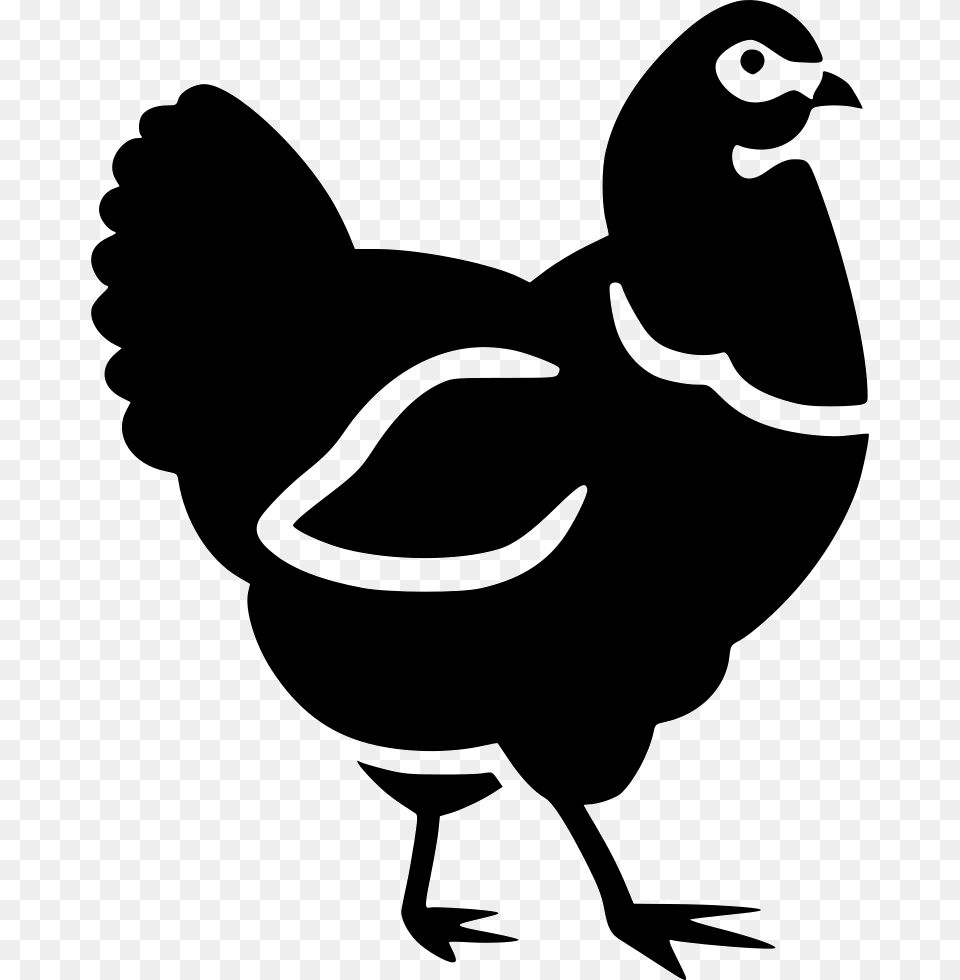 Chicken Hen Animal Icon Download, Stencil, Bird, Fish, Sea Life Free Png
