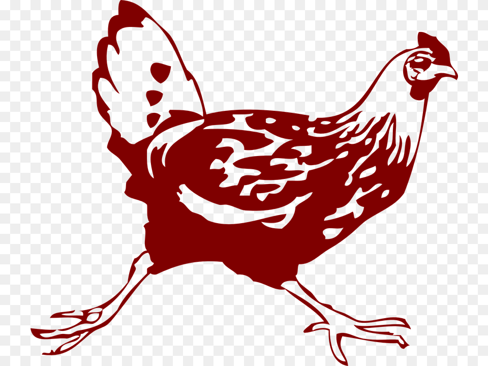 Chicken Hen Running Brown Legs Tail Difference Between Erotic And Kinky, Person, Animal, Bird, Fowl Png