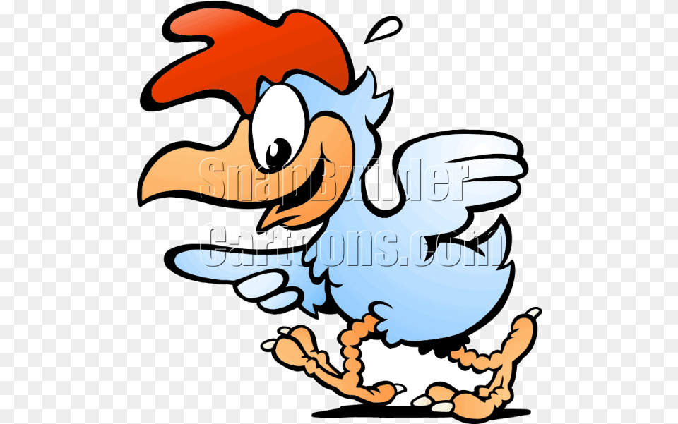 Chicken Hen Running Gallina, Animal, Beak, Bird, Jay Png Image