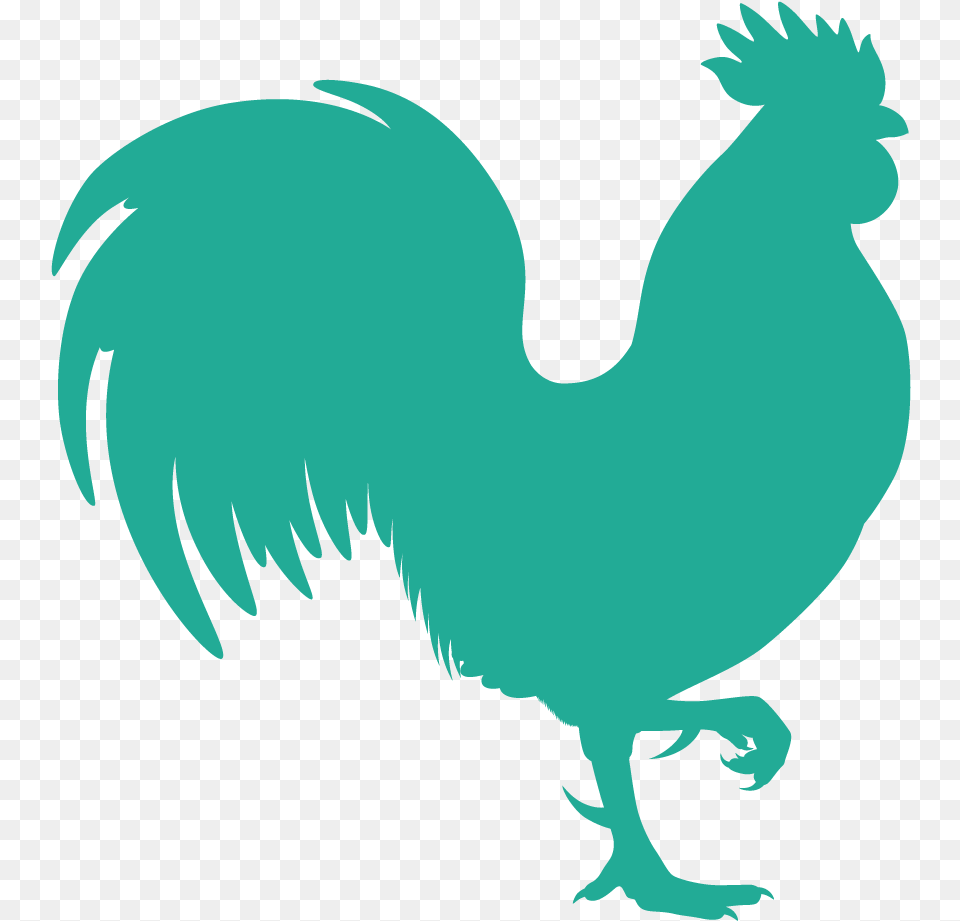 Chicken Icon, Baby, Person, Animal, Bird Free Png