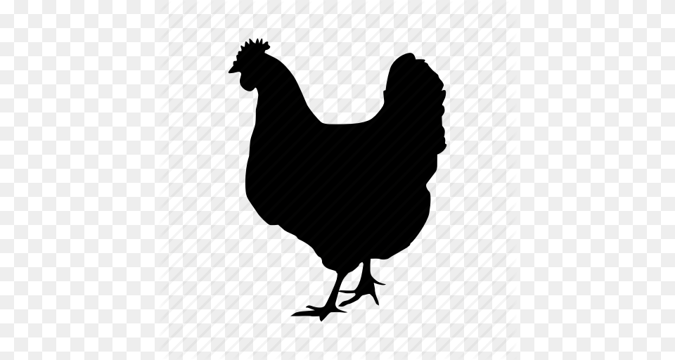Chicken Icon Clipart Chicken As Food Clip Art Chicken, Animal, Bird, Fowl, Hen Png
