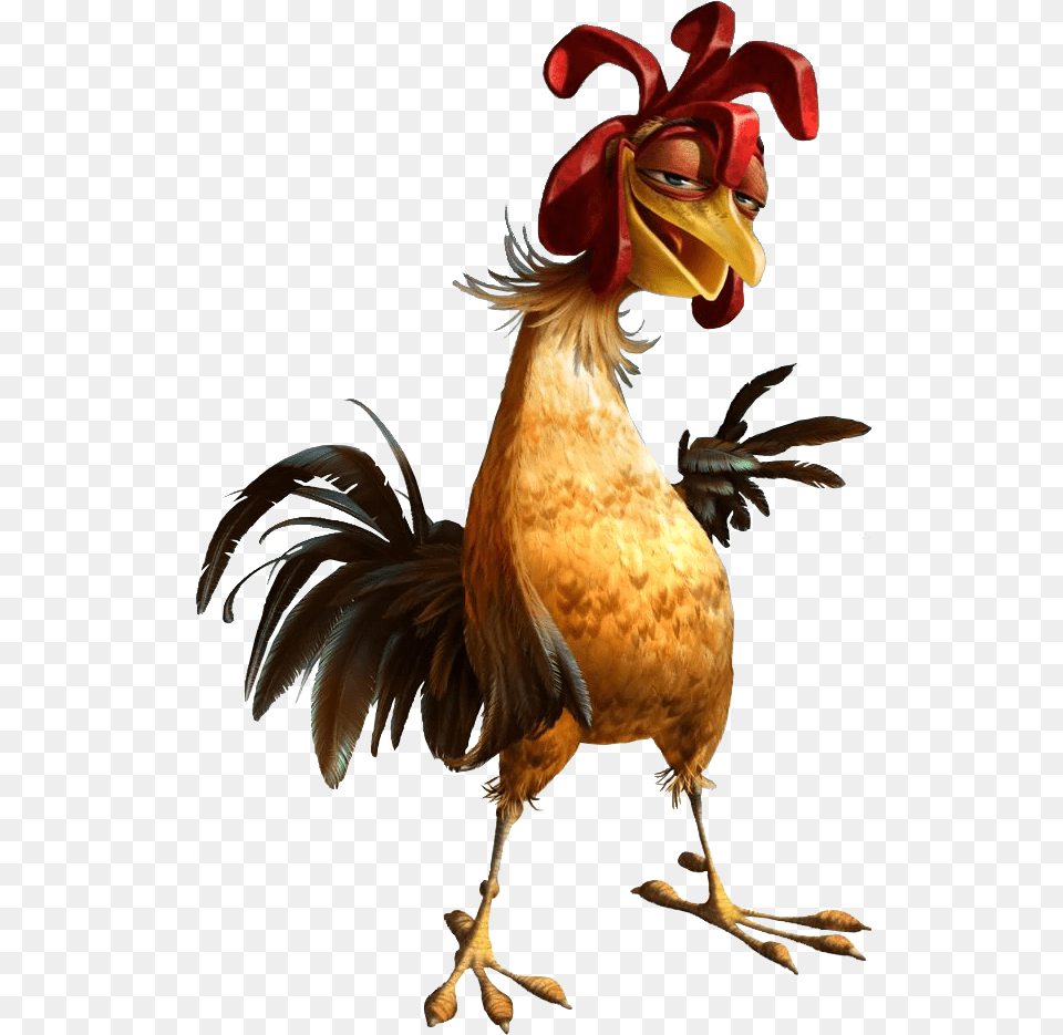 Chicken Joe, Animal, Bird, Fowl, Poultry Png Image