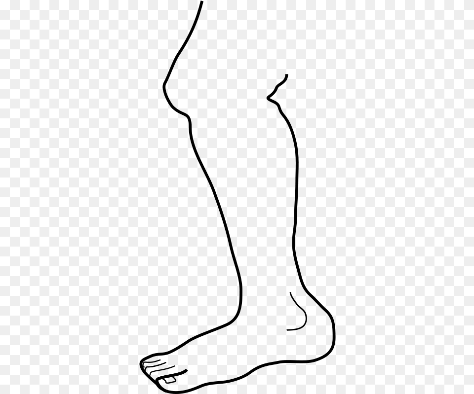 Chicken Leg Clip Art Leg Clip Art, Gray Free Png