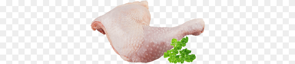Chicken Legs Chicken Legs Meat, Herbs, Plant, Parsley, Animal Free Png Download