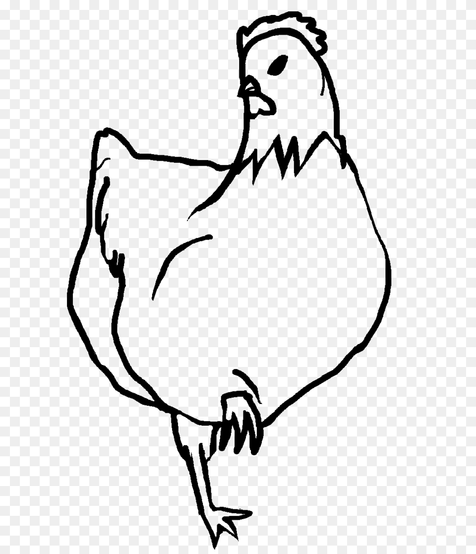 Chicken Line Art, Gray Png Image