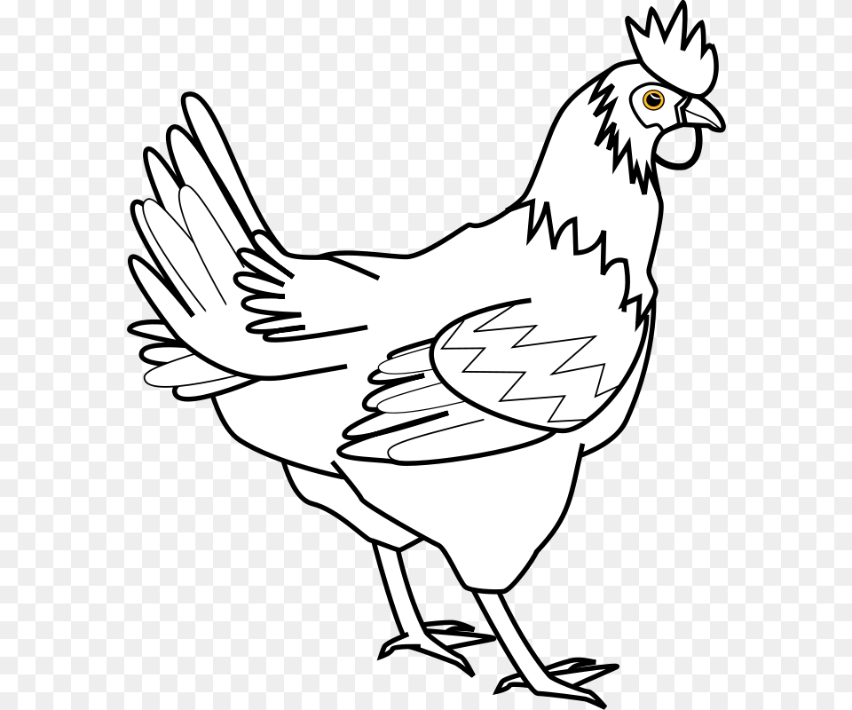 Chicken Line Art Davidone Chicken, Animal, Bird, Fowl, Hen Png Image