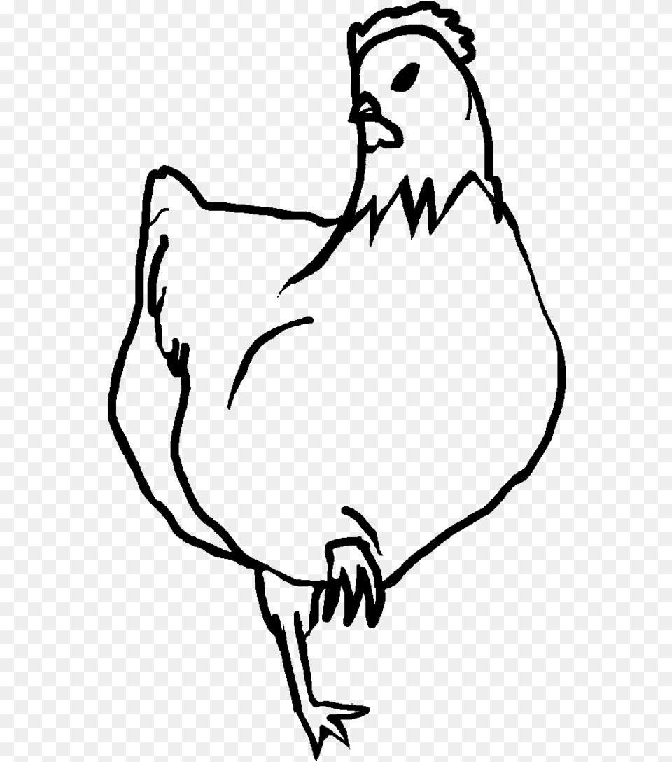 Chicken Lineart By Ipaddoodler On Clipart Library Chicken Line Art, Gray Png Image