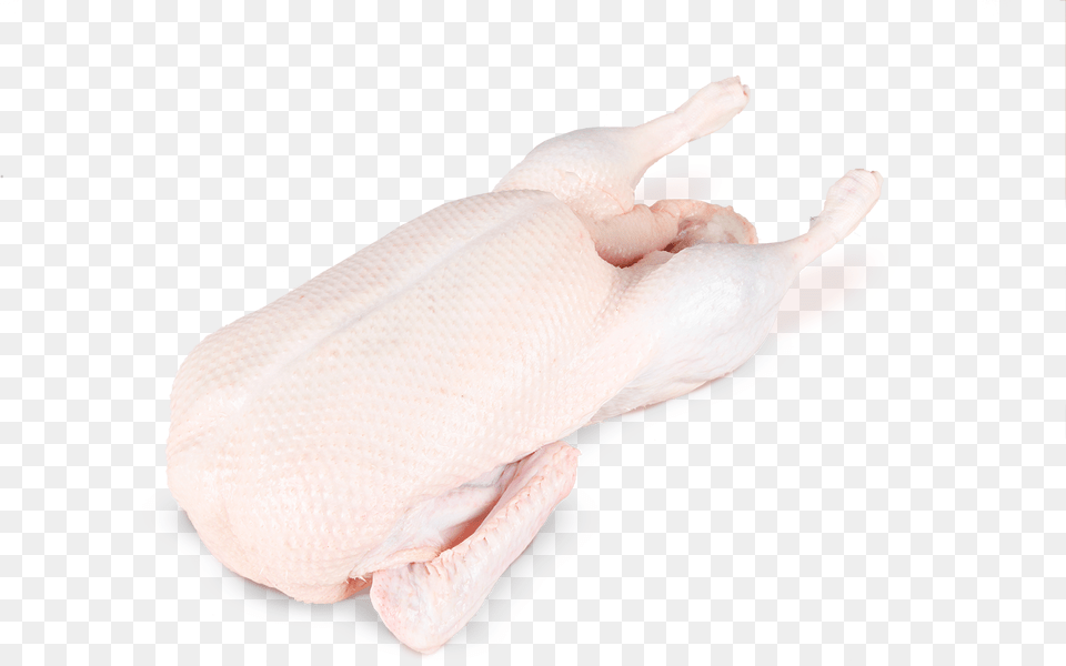 Chicken Meat, Body Part, Finger, Hand, Person Free Transparent Png