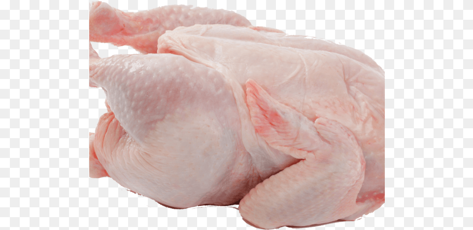 Chicken Meat Images, Baby, Person, Animal, Bird Free Png Download