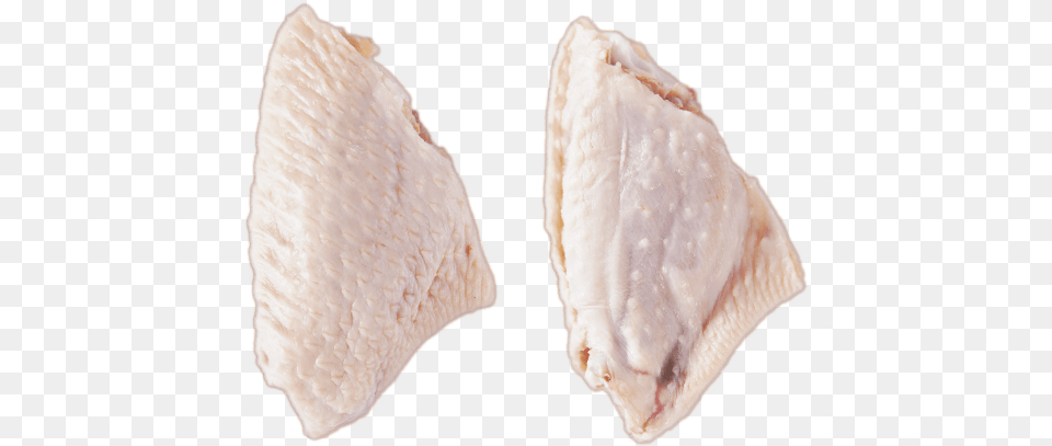 Chicken Mid Joint Wing Chicken Meat, Animal, Invertebrate, Sea Life, Seashell Png