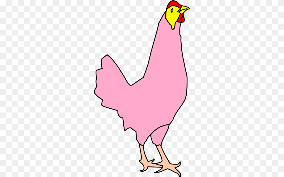 Chicken Poultry Clip Art, Animal, Bird, Fowl, Hen Free Png