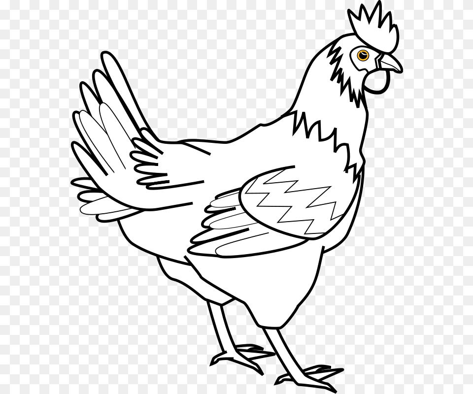 Chicken Printable, Animal, Bird, Fowl, Hen Png Image