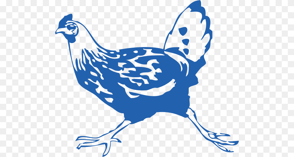 Chicken Running Blue Facing Left Rooster, Animal, Bird, Fowl, Hen Free Png