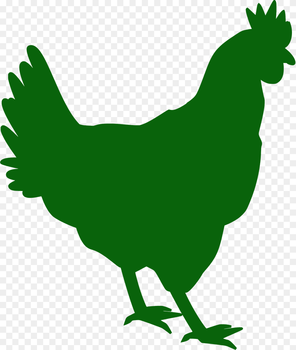 Chicken Silhouette, Animal, Bird, Fowl, Hen Free Png Download