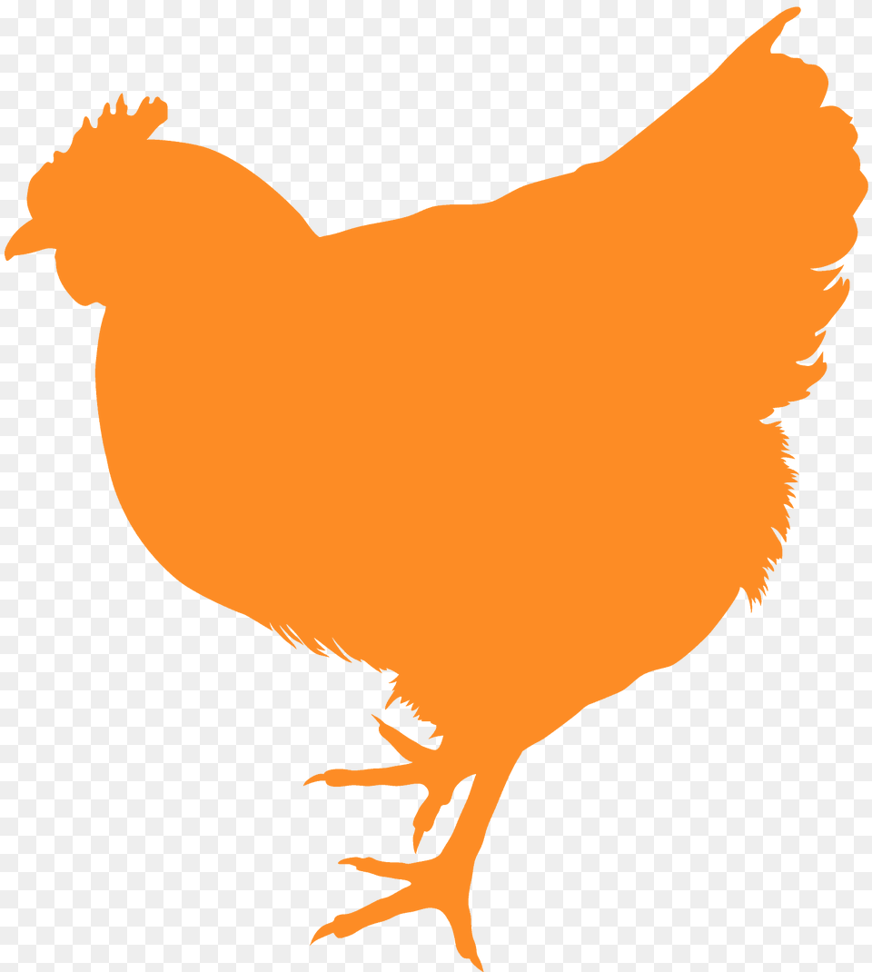 Chicken Silhouette, Animal, Bird, Fowl, Hen Free Png Download