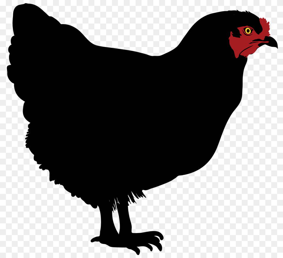 Chicken Silhouette, Animal, Beak, Bird, Fowl Free Transparent Png