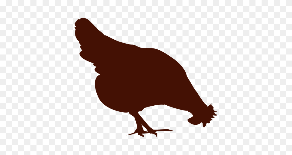 Chicken Silhouette, Animal, Bird, Fowl, Hen Free Png Download