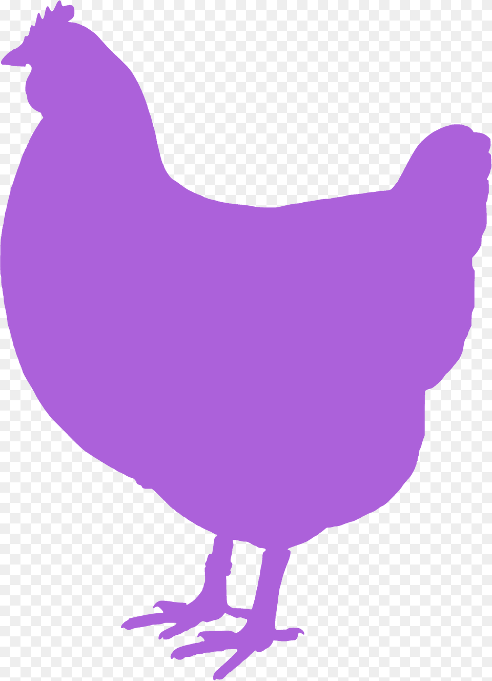 Chicken Silhouette, Animal, Bird, Fowl, Hen Free Transparent Png