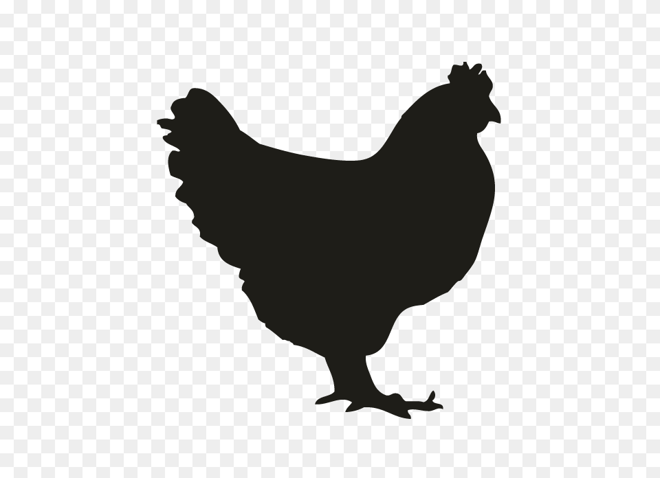 Chicken Silhouette, Animal, Poultry, Mammal, Hen Free Png Download