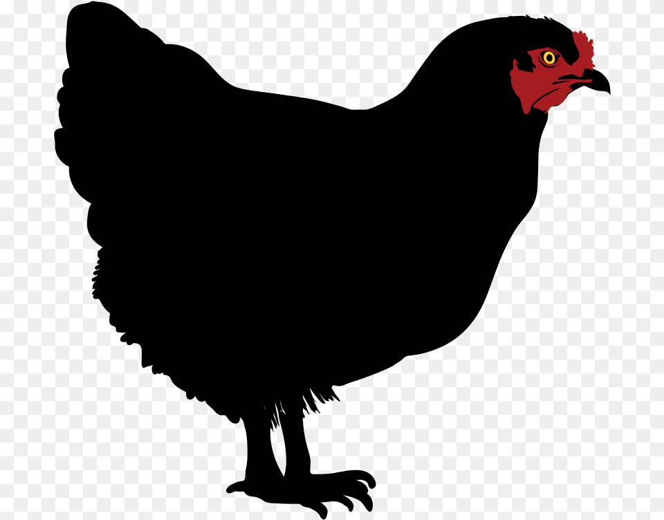 Chicken Silhouette Chicken Silhouette Clip Art, Animal, Bird, Fowl, Poultry Free Transparent Png