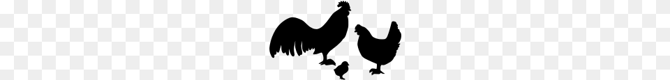 Chicken Silhouette Clipart, Gray Png