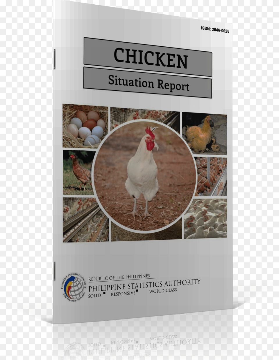 Chicken Situation Report Narrative Report For Chicken Free Png Download