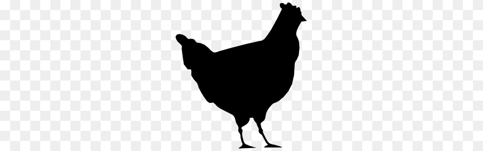 Chicken Sticker, Animal, Bird, Fowl, Hen Free Png Download