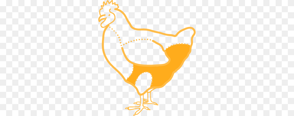 Chicken Thighs Transavia, Animal, Bird, Fowl, Hen Png Image