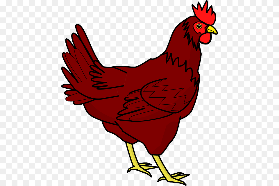 Chicken Transparent Image Red Hen Clip Art, Animal, Bird, Fowl, Poultry Png