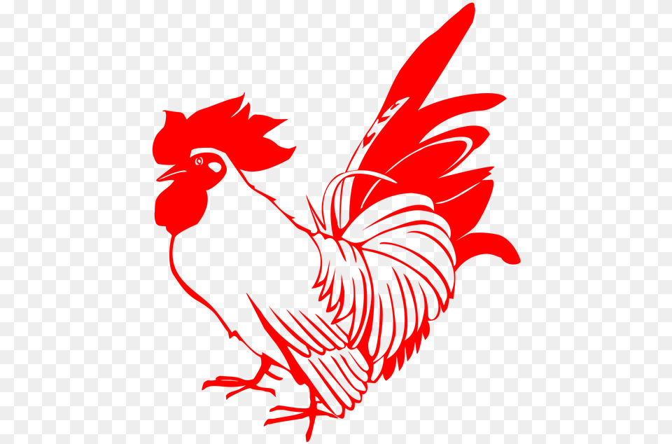 Chicken Transparent Images 013 Rooster, Animal, Bird, Fowl, Poultry Png Image
