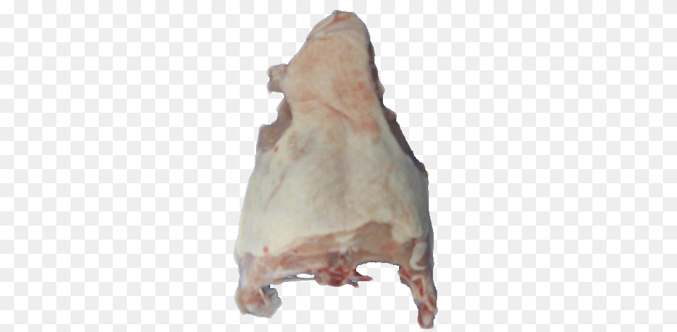 Chicken Upper Back, Animal, Fish, Sea Life Free Transparent Png