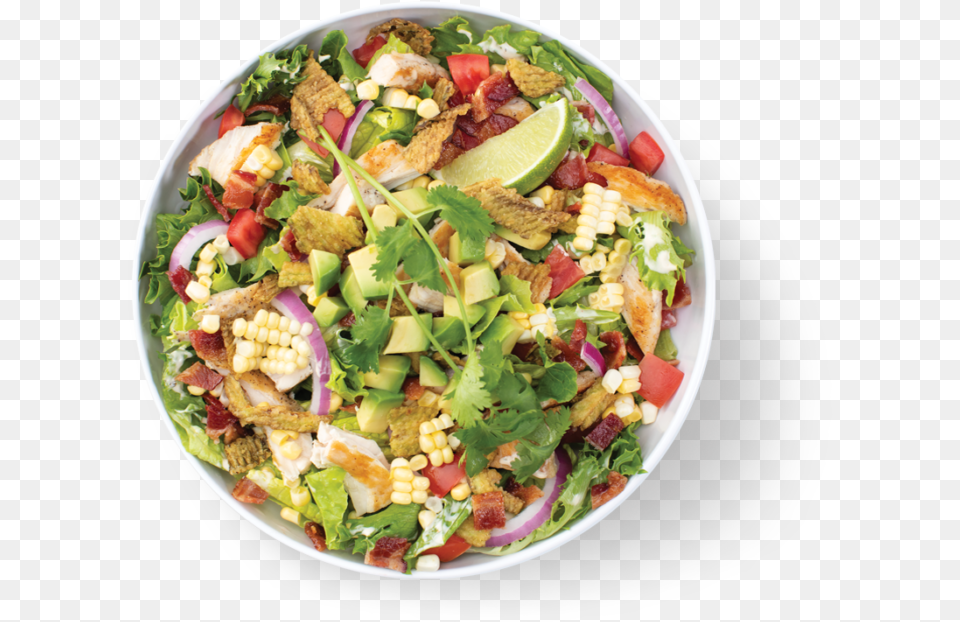Chicken Veracruz Salad Bowl, Plate, Food, Meal, Lunch Free Transparent Png