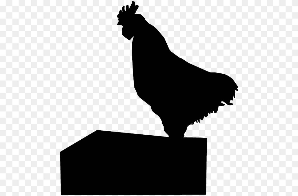 Chicken Wall Roaster Poultry Rooster Crow Farm Chicken As Food, Animal, Bird, Fowl, Hen Free Transparent Png