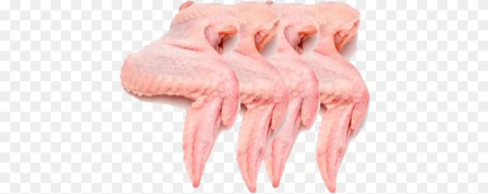 Chicken Wings 4 Chicken Wings With Skin, Electronics, Hardware, Hook, Baby Free Png