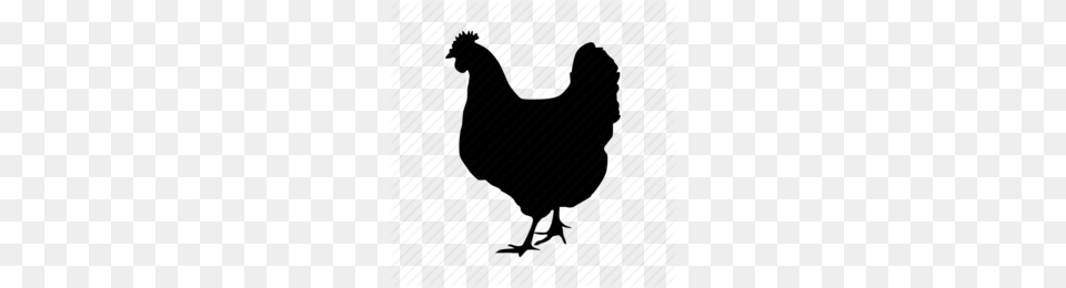 Chickens Gifs Clipart, Animal, Bird, Chicken, Fowl Free Png Download