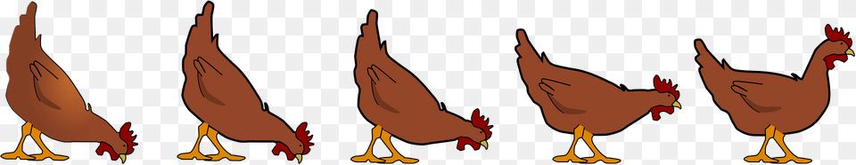 Chickens In A Row Clipart, Animal, Bird, Chicken, Fowl Png Image
