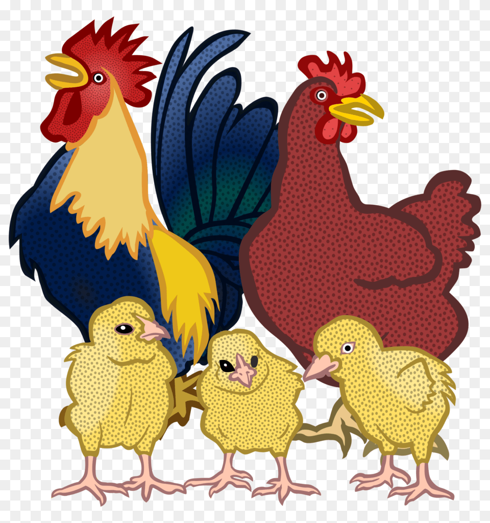 Chickens Vector Clipart Clip Art, Animal, Bird, Chicken, Fowl Png